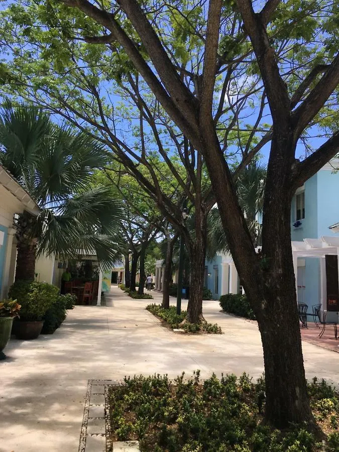 Villa Olivo 9 Punta Cana Village